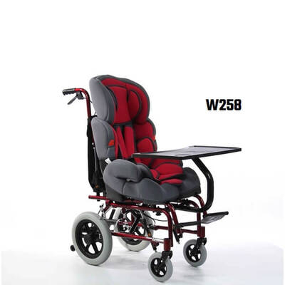 Wollex W258 Konforlu Çocuk Tekerlekli Sandalyesi